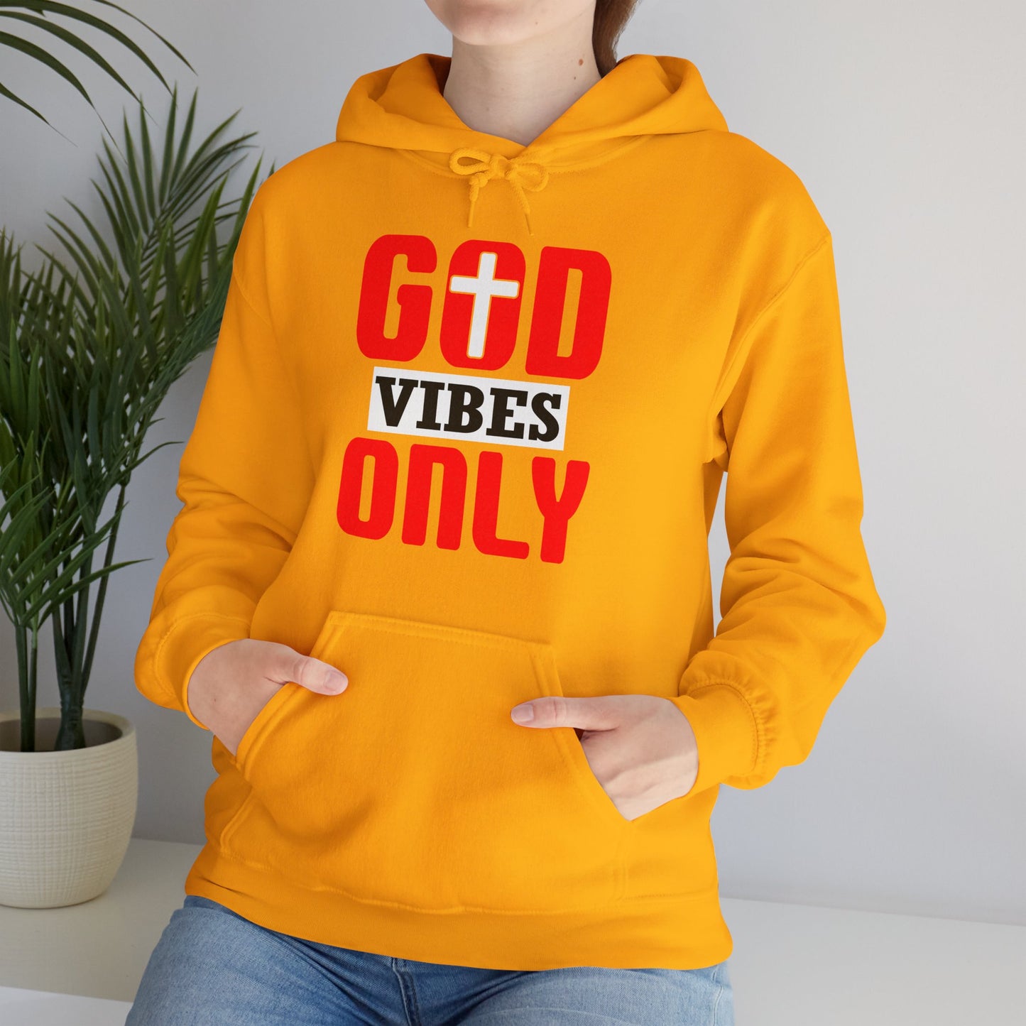 His Vibes Only Unisex Christian Hooded Pullover Sweatshirt