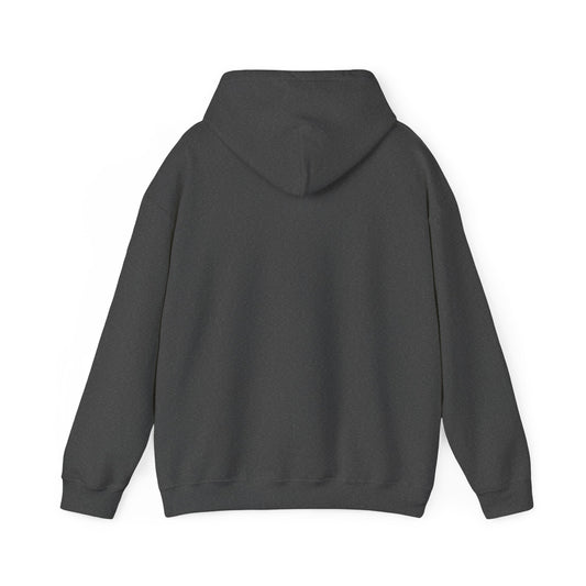 Trust Him And Chill Unisex Christian Hooded Pullover Sweatshirt