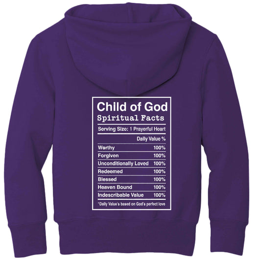 Child of the King Spiritual Facts Youth Christian Pullover Hooded Sweatshirt - ClaimedbyGodDesigns
