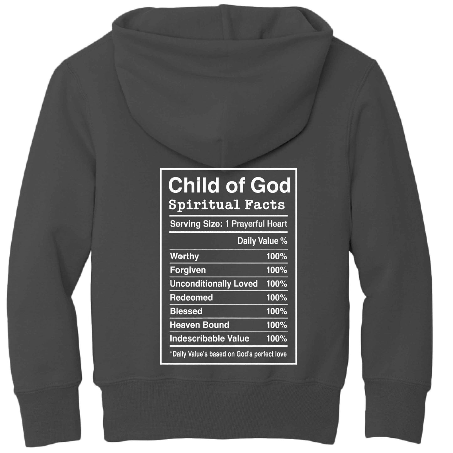 Child of the King Spiritual Facts Youth Christian Pullover Hooded Sweatshirt - ClaimedbyGodDesigns