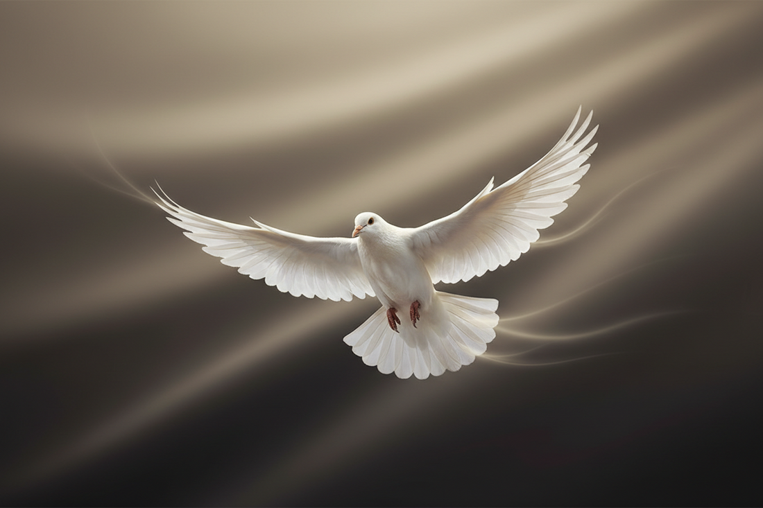 Dove symbolizing peace and hope for frightened patients