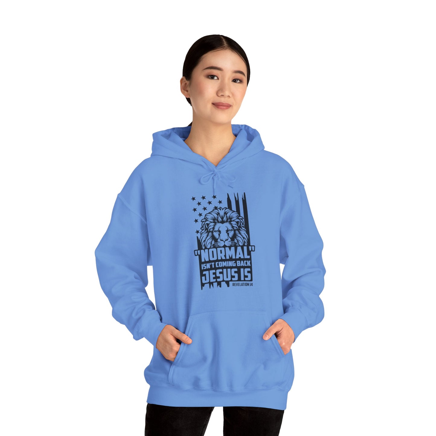 Normal Isn't Coming Back Jesus Is American Patriotic Christian Unisex Hooded Pullover Sweatshirt