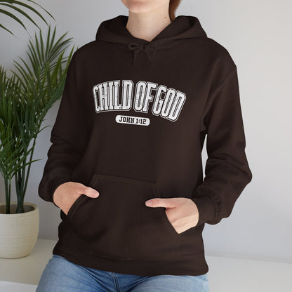 His Child Checklist Unisex Christian Hooded Pullover Sweatshirt