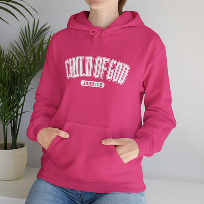 His Child Checklist Unisex Christian Hooded Pullover Sweatshirt