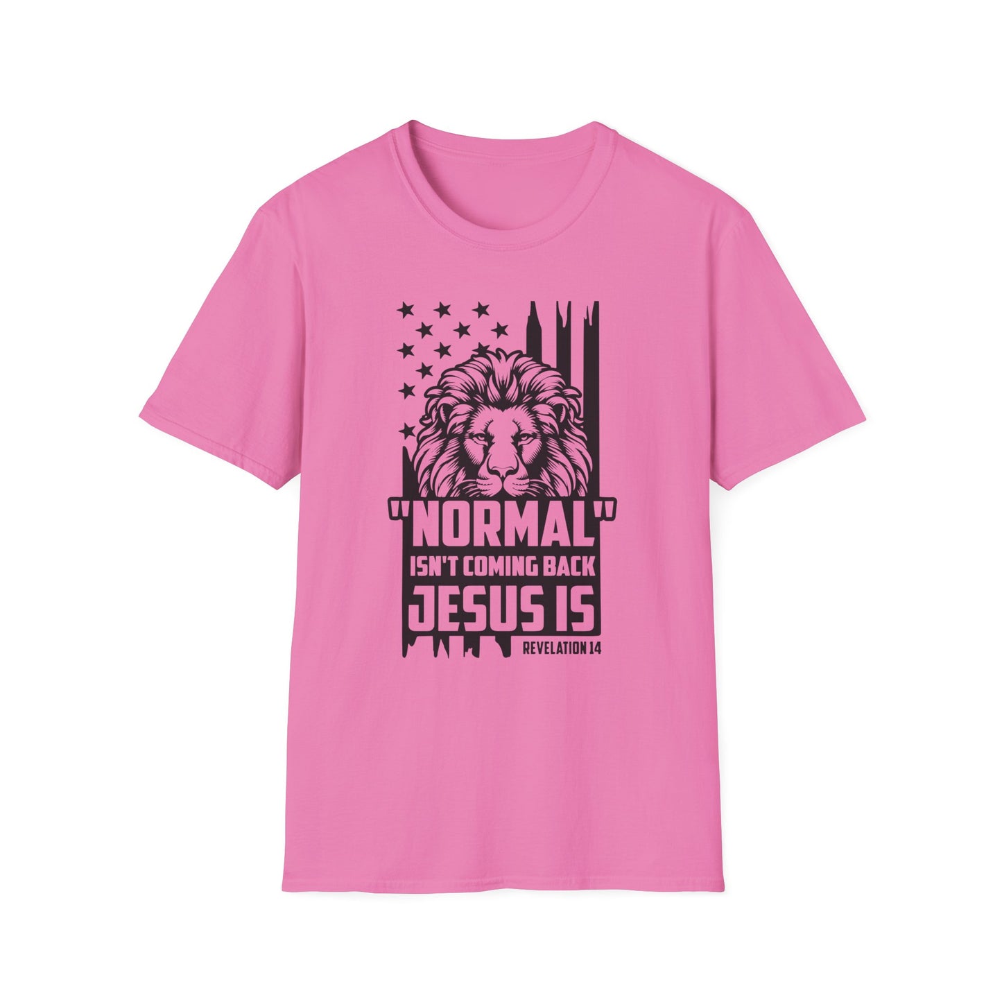 Normal Isn't Coming Back Jesus Is American Patriotic Christian Unisex T-shirt