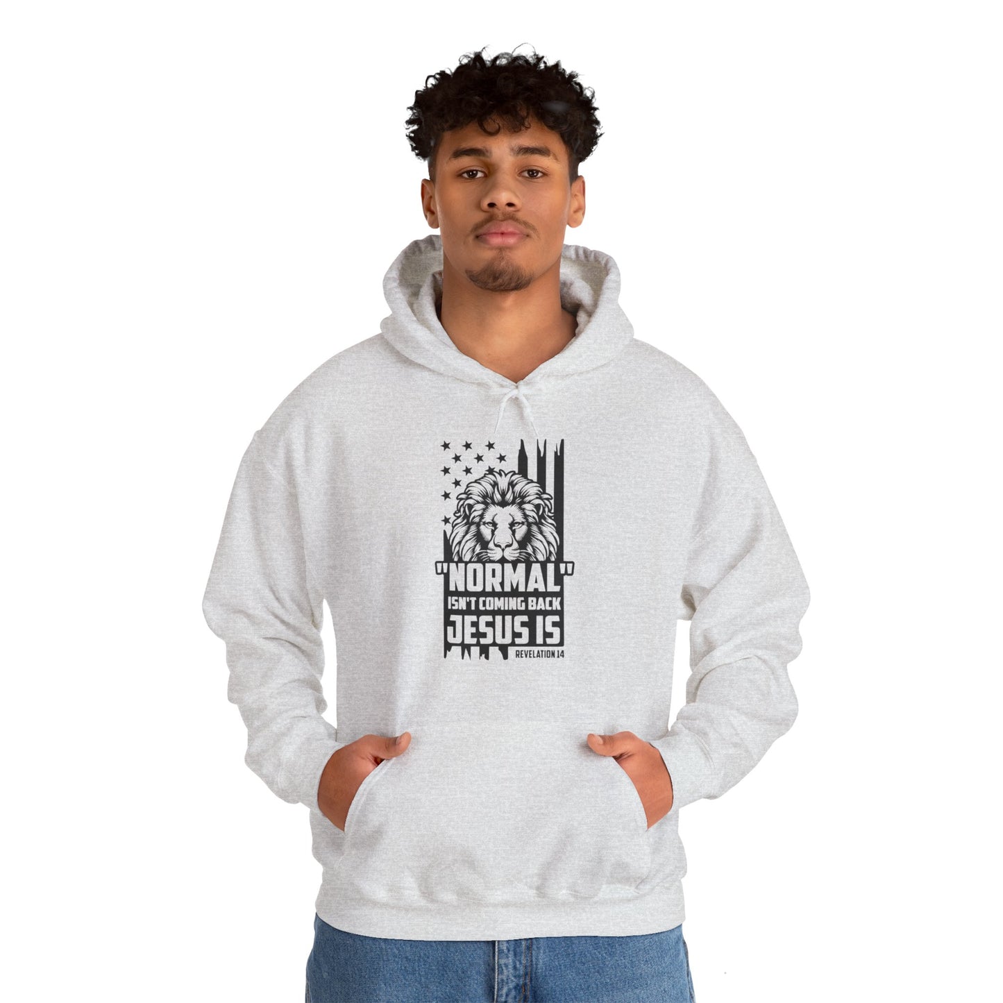 Normal Isn't Coming Back Jesus Is American Patriotic Christian Unisex Hooded Pullover Sweatshirt