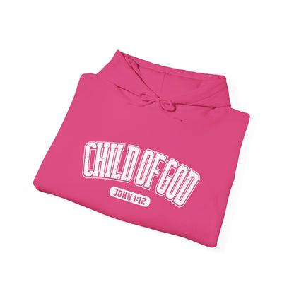 His Child Checklist Unisex Christian Hooded Pullover Sweatshirt