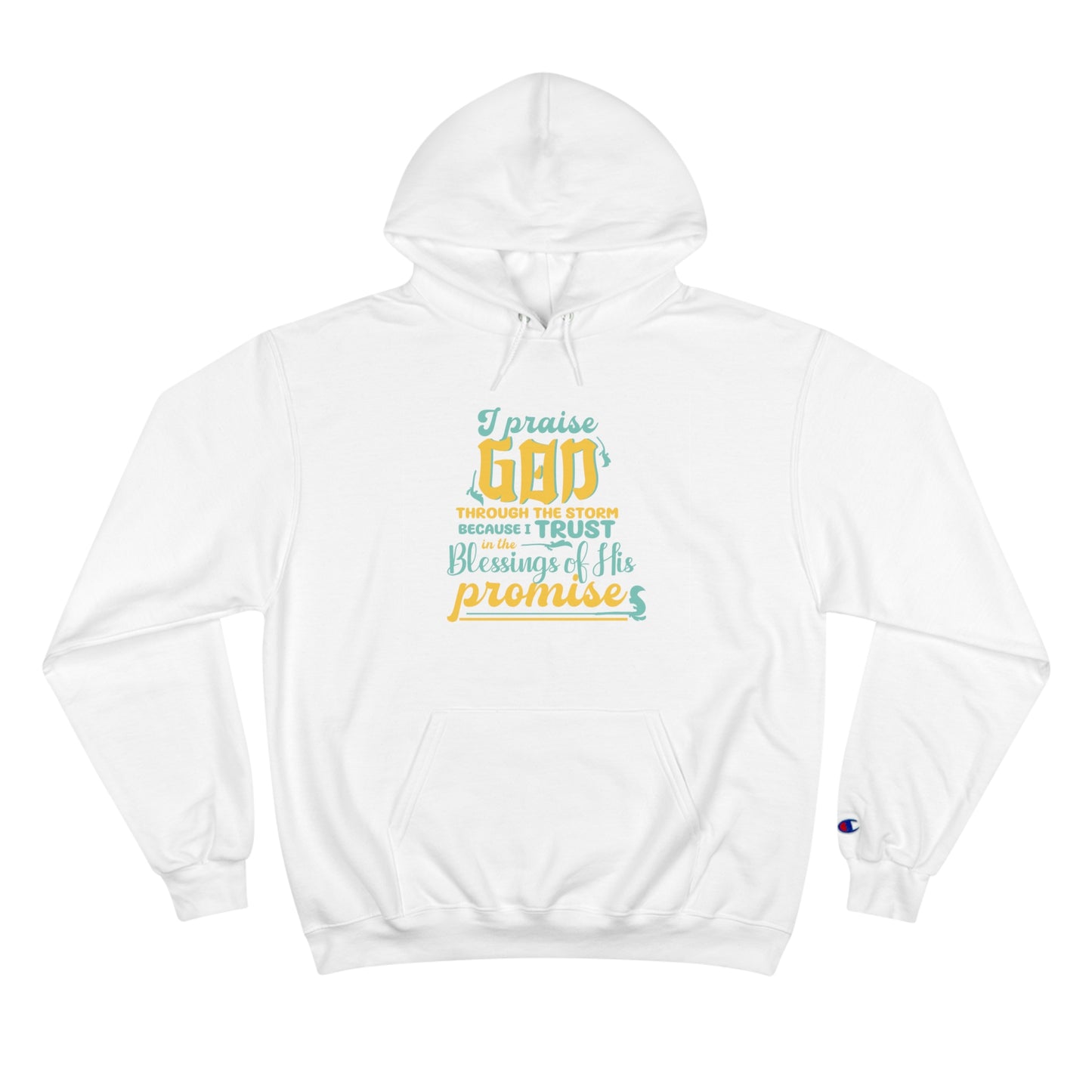 I Praise Him Through The Storm Because I Trust In The Blessings Of His Promise Unisex Champion Hoodie