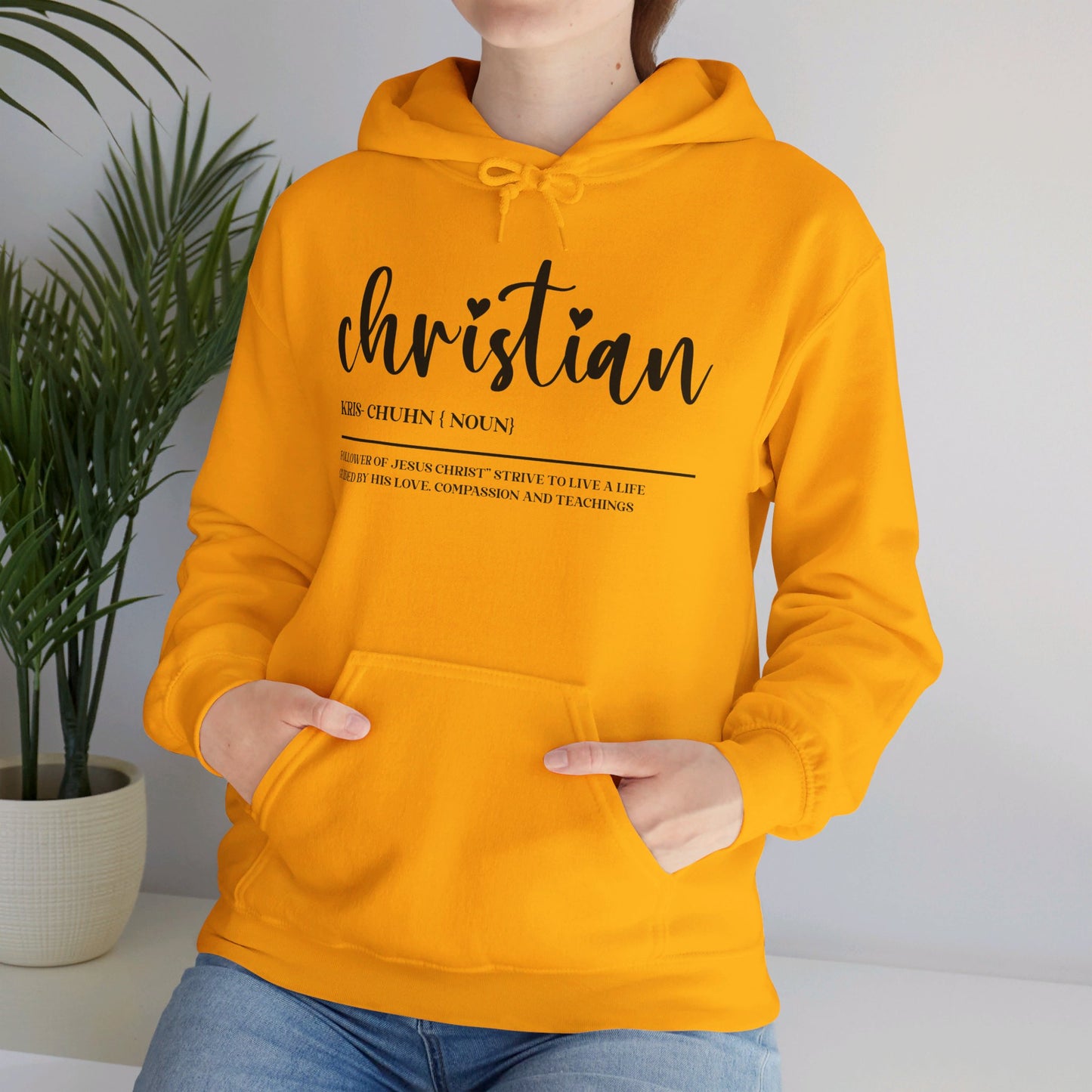 I Am A Christian Follower Of Christ  Unisex Christian Pullover Hooded Sweatshirt