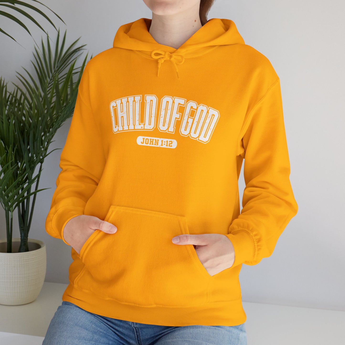 Child Of God Checklist Unisex Christian Hooded Pullover Sweatshirt