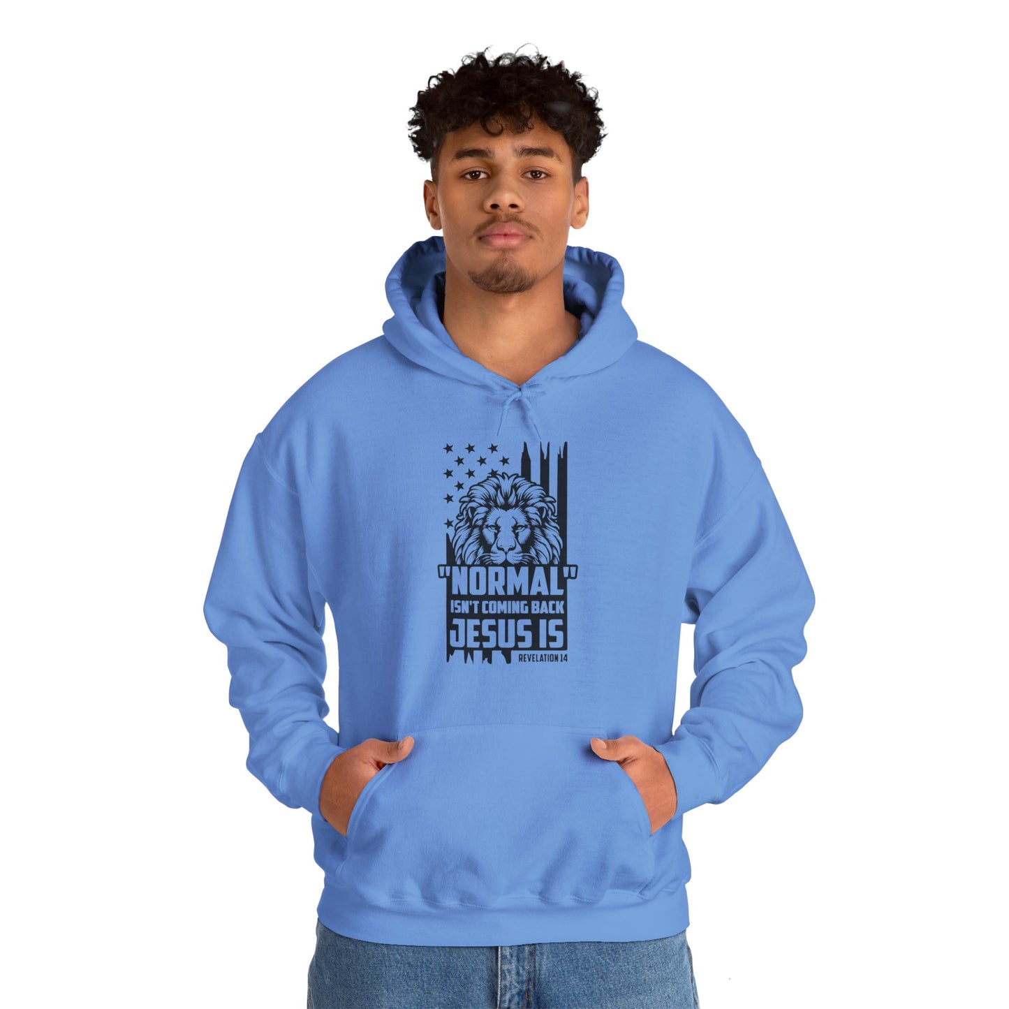 Normal Isn't Coming Back Jesus Is American Patriotic Christian Unisex Hooded Pullover Sweatshirt