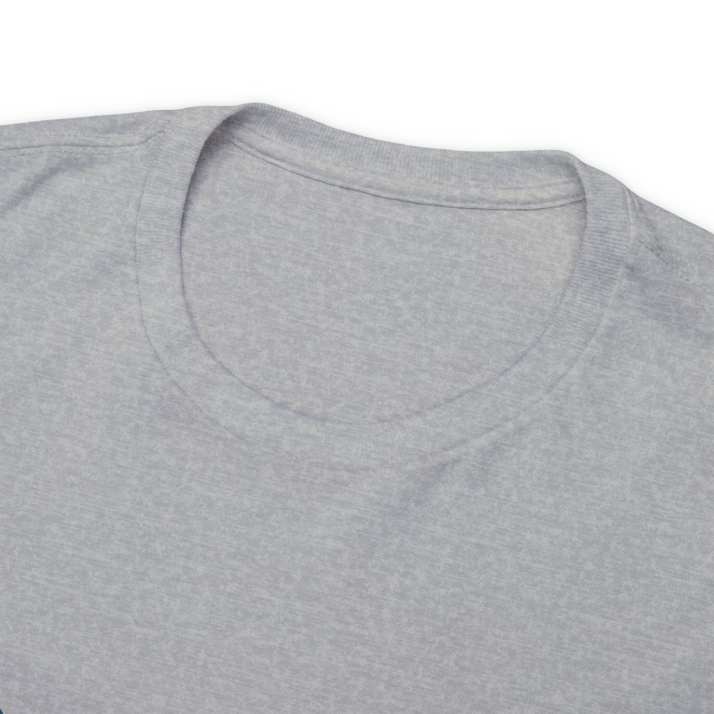 Tested & Tried Unisex Heavy Cotton Tee