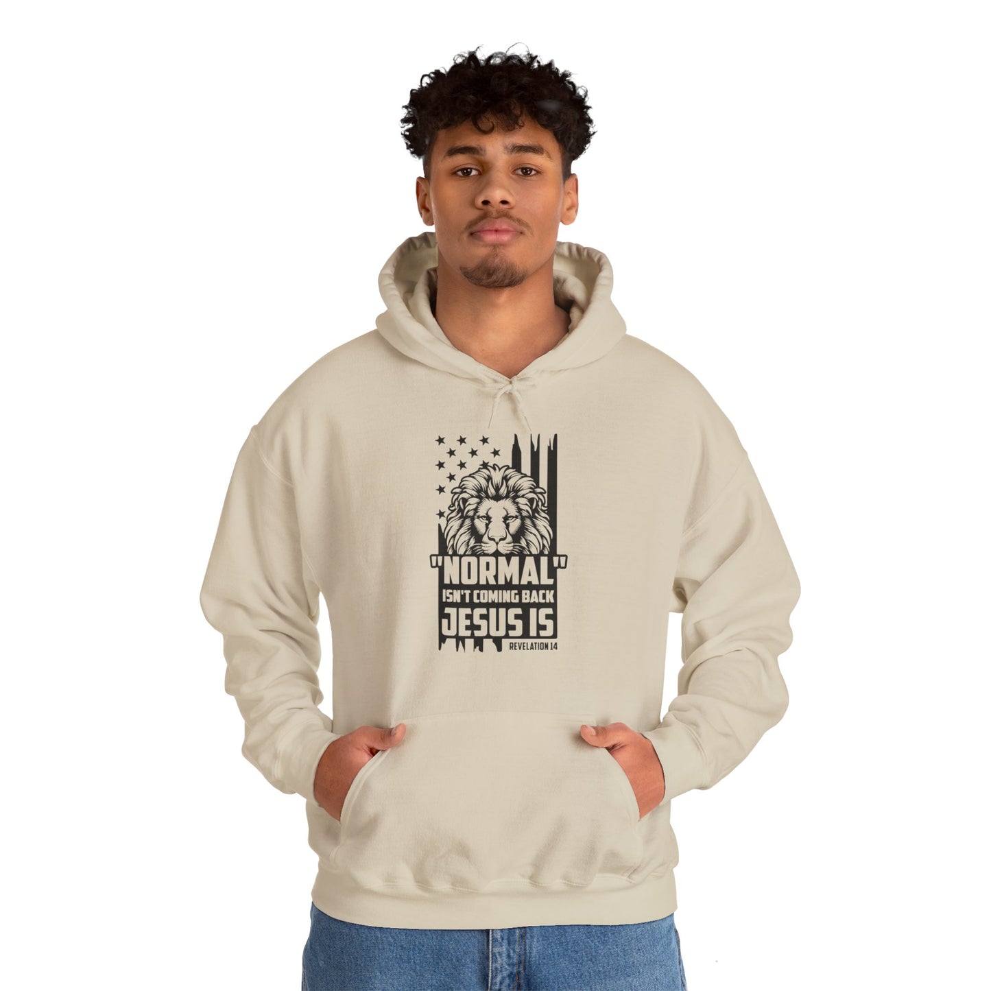 Normal Isn't Coming Back Jesus Is American Patriotic Christian Unisex Hooded Pullover Sweatshirt