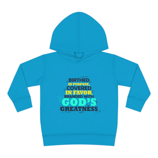 Birthed In Purpose Covered In Favor Branded With God's Greatness Toddler Christian Pullover Fleece Hoodie - ClaimedbyGodDesigns