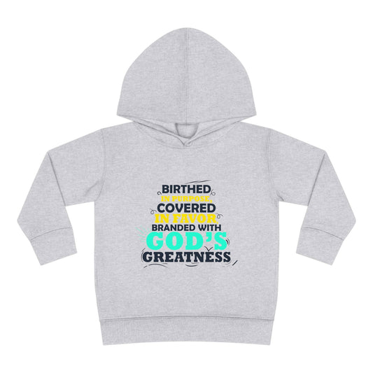 Birthed In Purpose Covered In Favor Branded With God's Greatness Toddler Christian Pullover Fleece Hoodie - ClaimedbyGodDesigns