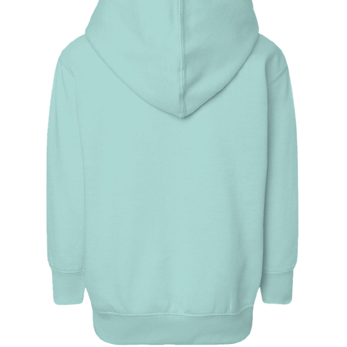 Pray About Everything Toddler Christian Pullover Hooded Sweatshirt - ClaimedbyGodDesigns
