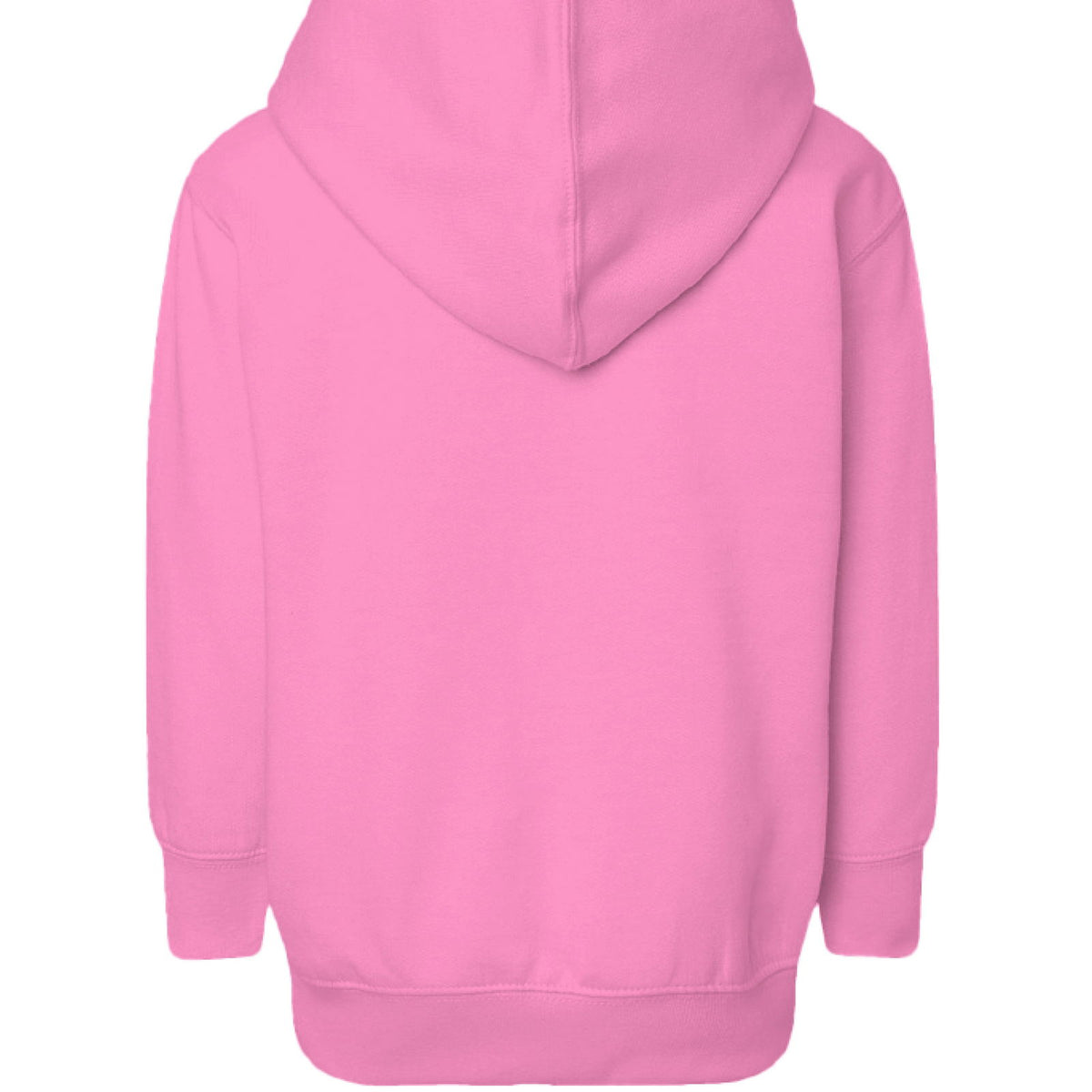 Pray About Everything Toddler Christian Pullover Hooded Sweatshirt - ClaimedbyGodDesigns