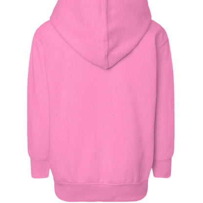 Pray About Everything Toddler Christian Pullover Hooded Sweatshirt - ClaimedbyGodDesigns