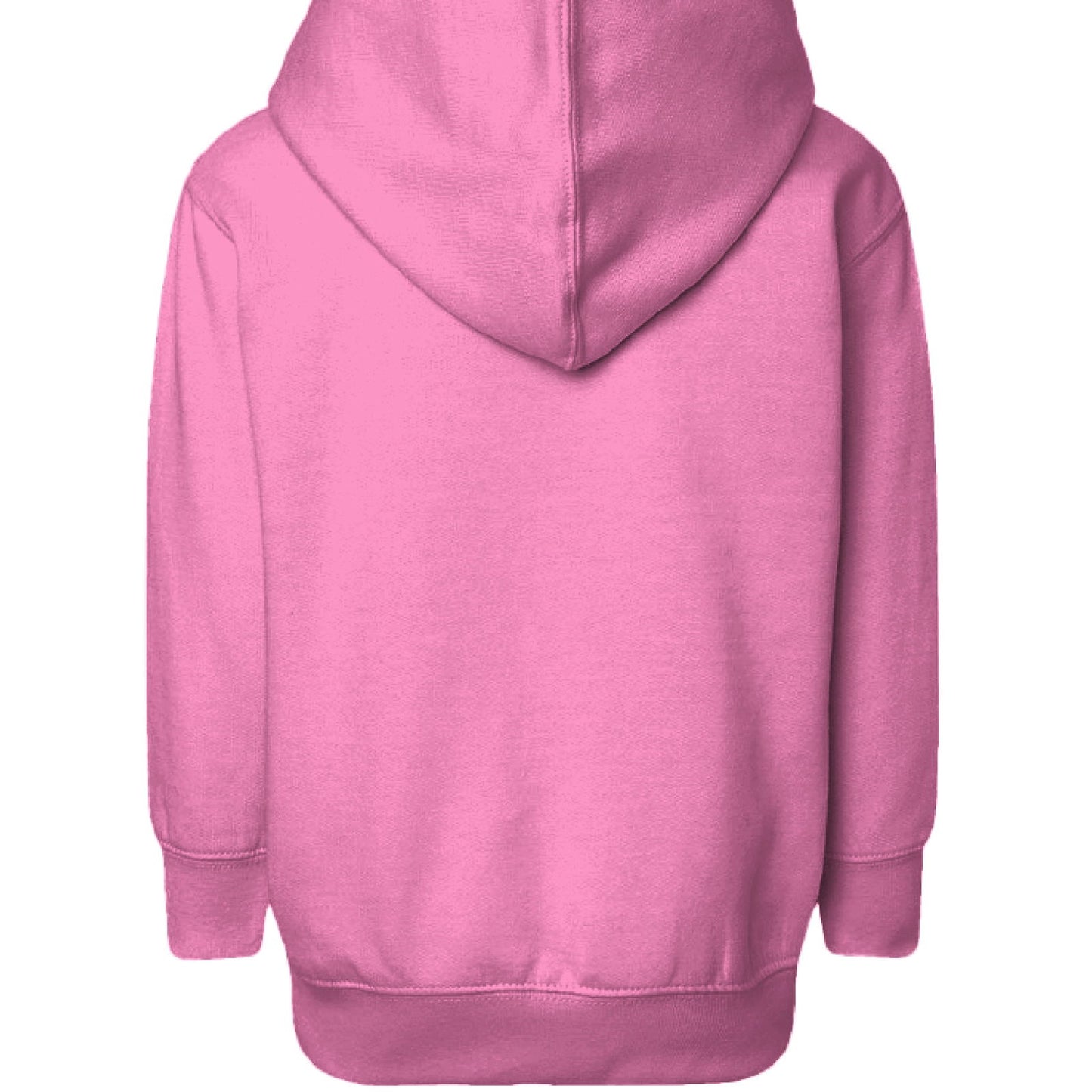 The Lord Is My Shepherd I Need Constant Supervision Toddler Christian Pullover Hooded Sweatshirt - ClaimedbyGodDesigns