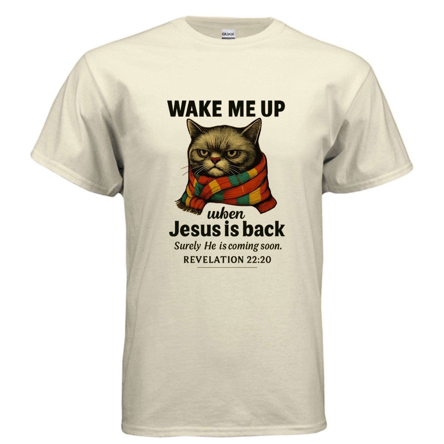Wake Me Up When He Is Back Funny Unisex Christian T-shirt - ClaimedbyGodDesigns