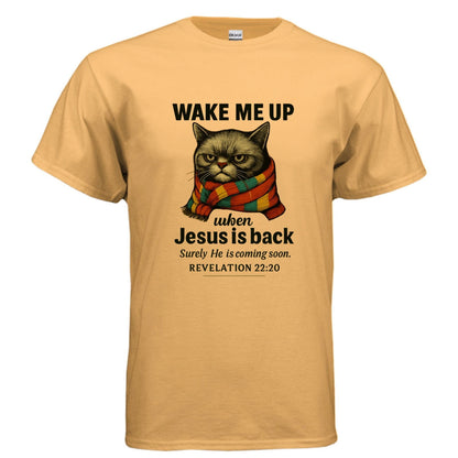 Wake Me Up When He Is Back Funny Unisex Christian T-shirt - ClaimedbyGodDesigns