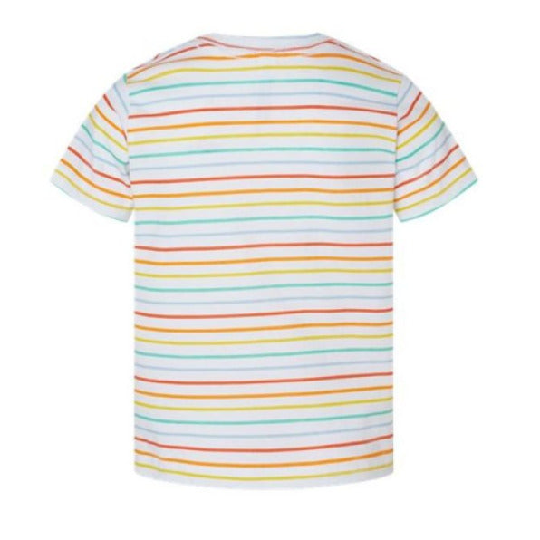 Rainbow Stripe - BACK