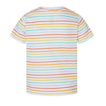 Rainbow Stripe - BACK