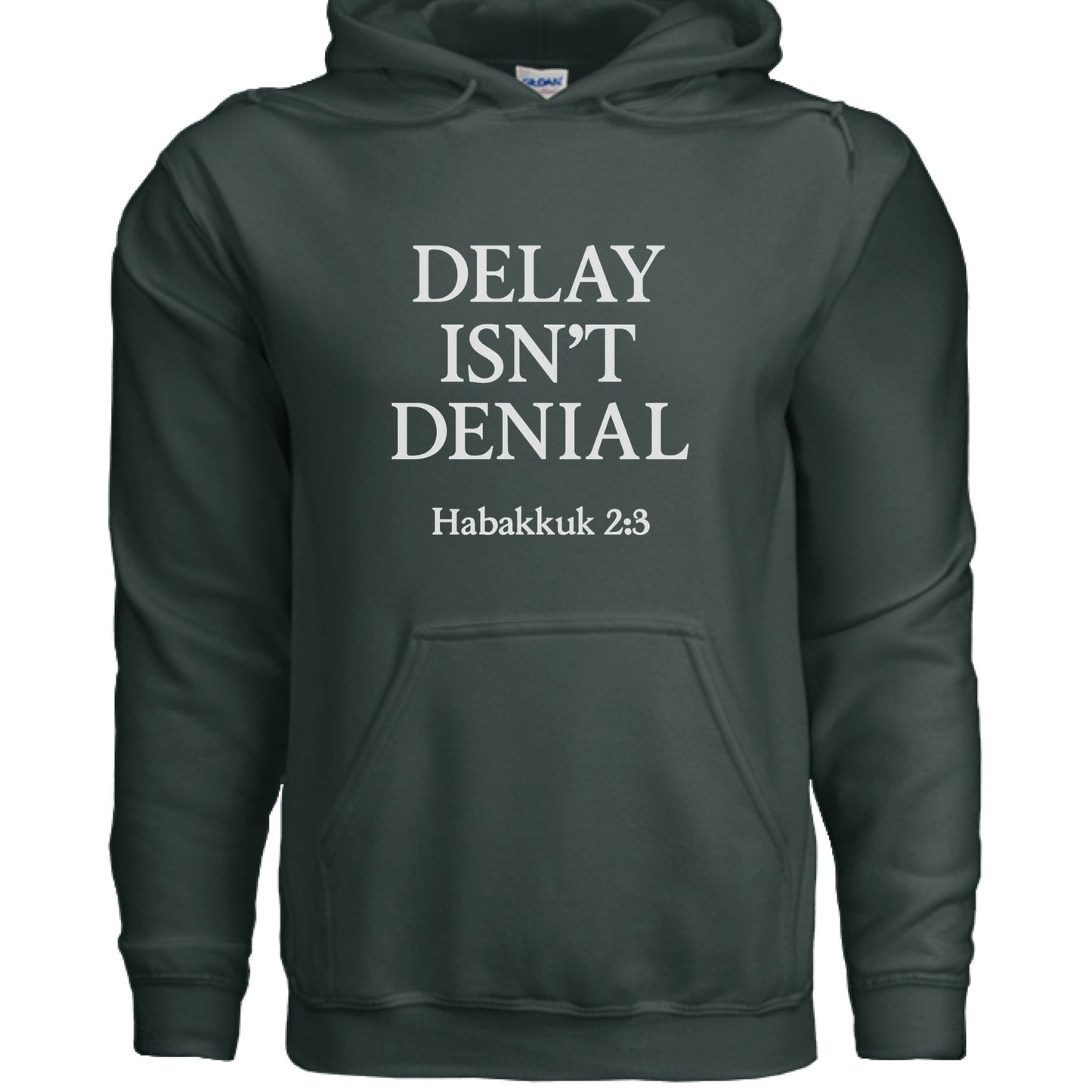 Delay Isn't Denial Unisex Christian Pullover Hooded Sweatshirt - ClaimedbyGodDesigns