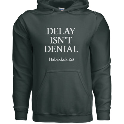 Delay Isn't Denial Unisex Christian Pullover Hooded Sweatshirt - ClaimedbyGodDesigns