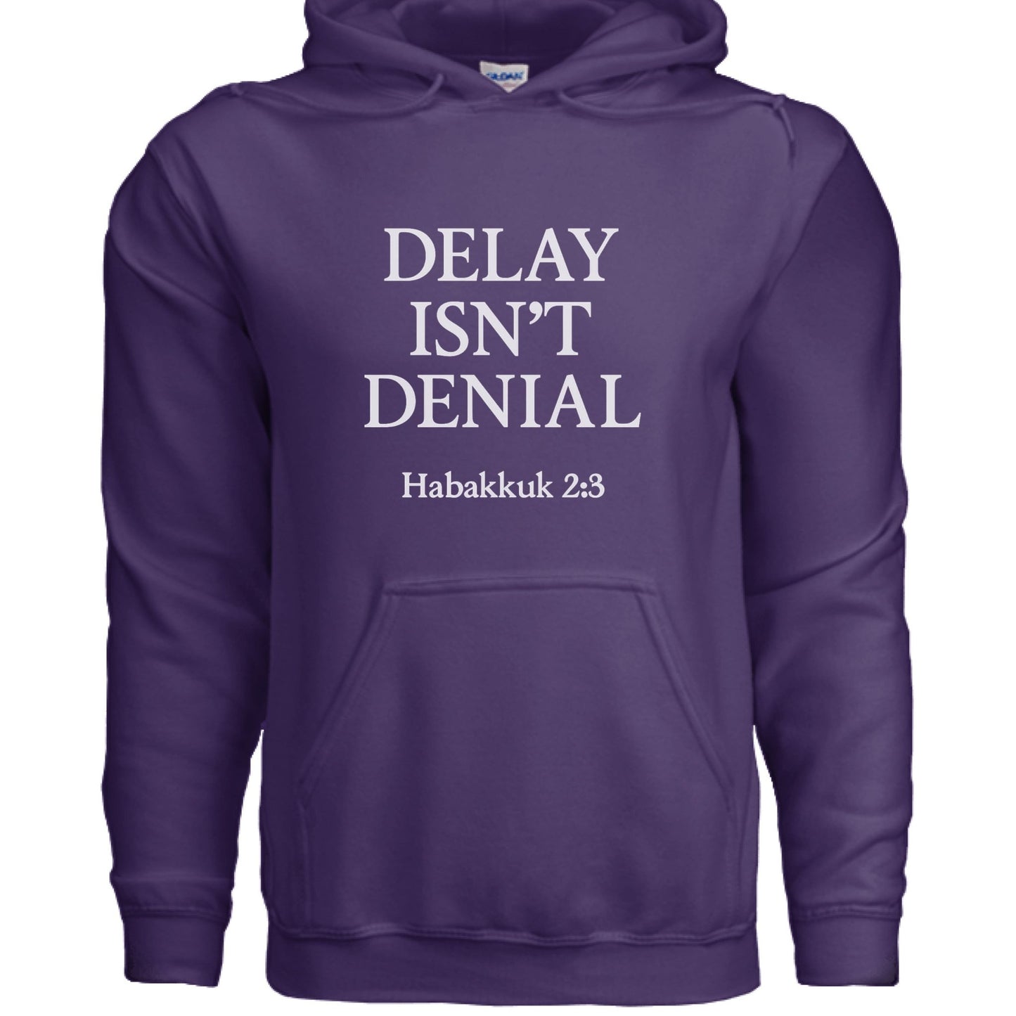 Delay Isn't Denial Unisex Christian Pullover Hooded Sweatshirt - ClaimedbyGodDesigns