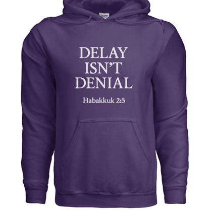 Delay Isn't Denial Unisex Christian Pullover Hooded Sweatshirt - ClaimedbyGodDesigns