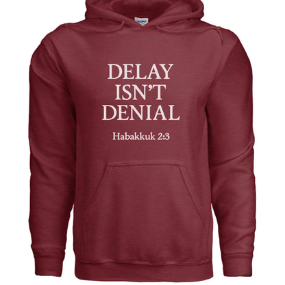Delay Isn't Denial Unisex Christian Pullover Hooded Sweatshirt - ClaimedbyGodDesigns