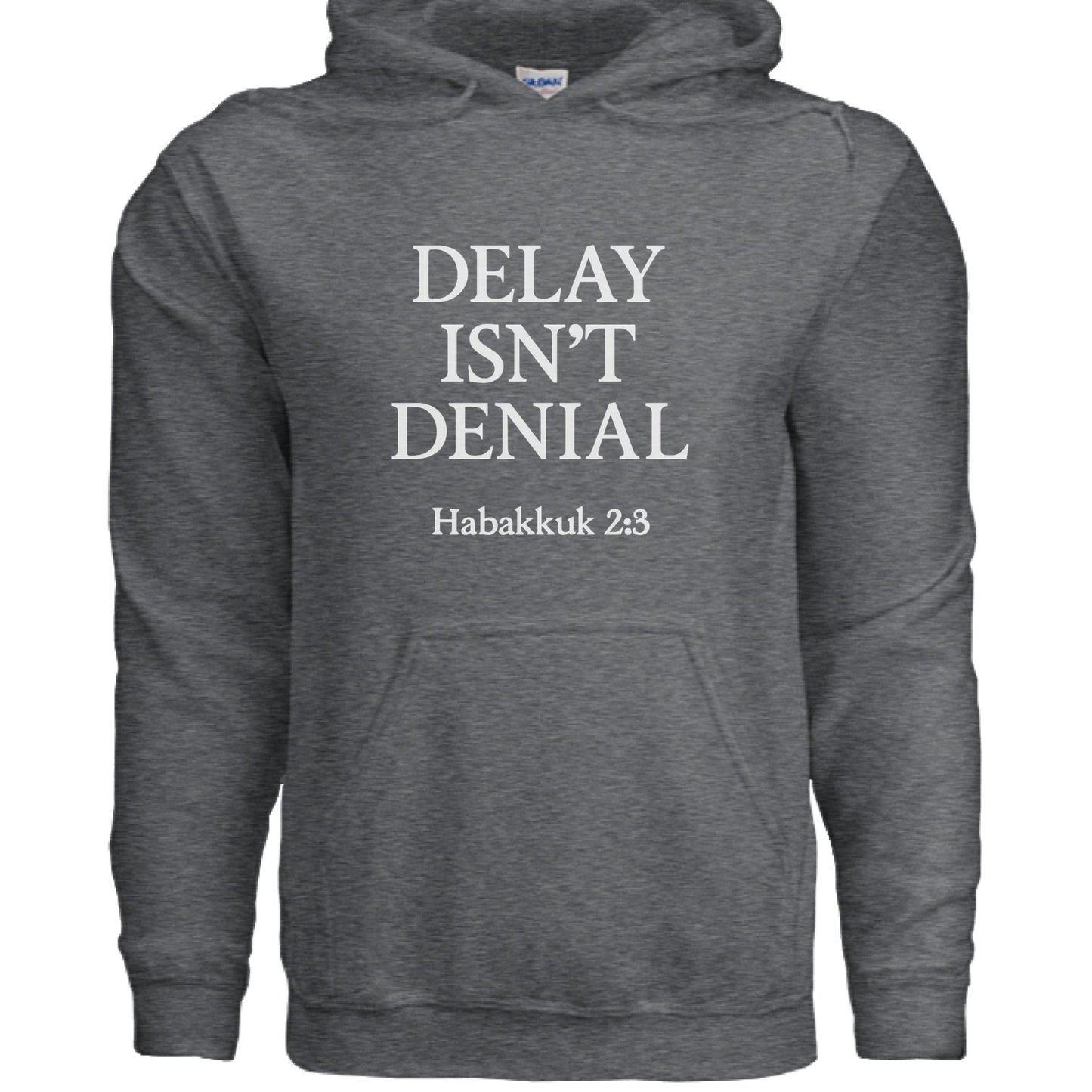 Delay Isn't Denial Unisex Christian Pullover Hooded Sweatshirt - ClaimedbyGodDesigns