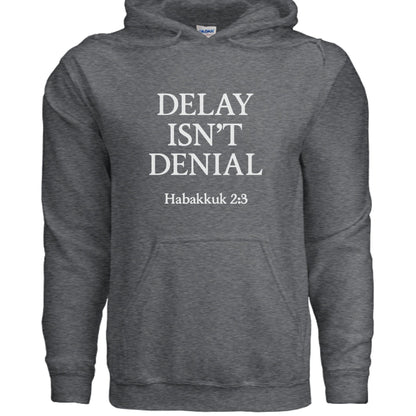 Delay Isn't Denial Unisex Christian Pullover Hooded Sweatshirt - ClaimedbyGodDesigns