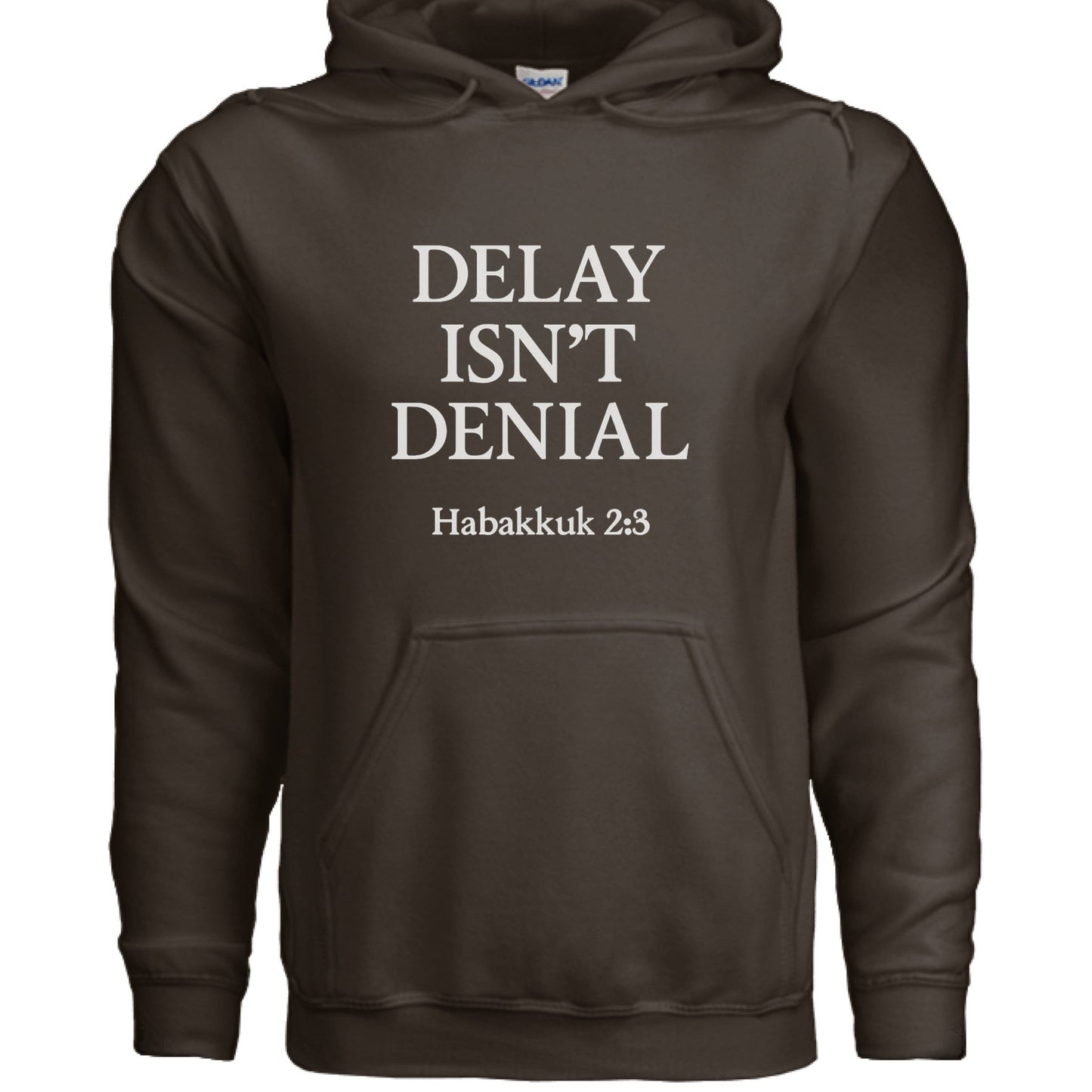 Delay Isn't Denial Unisex Christian Pullover Hooded Sweatshirt - ClaimedbyGodDesigns
