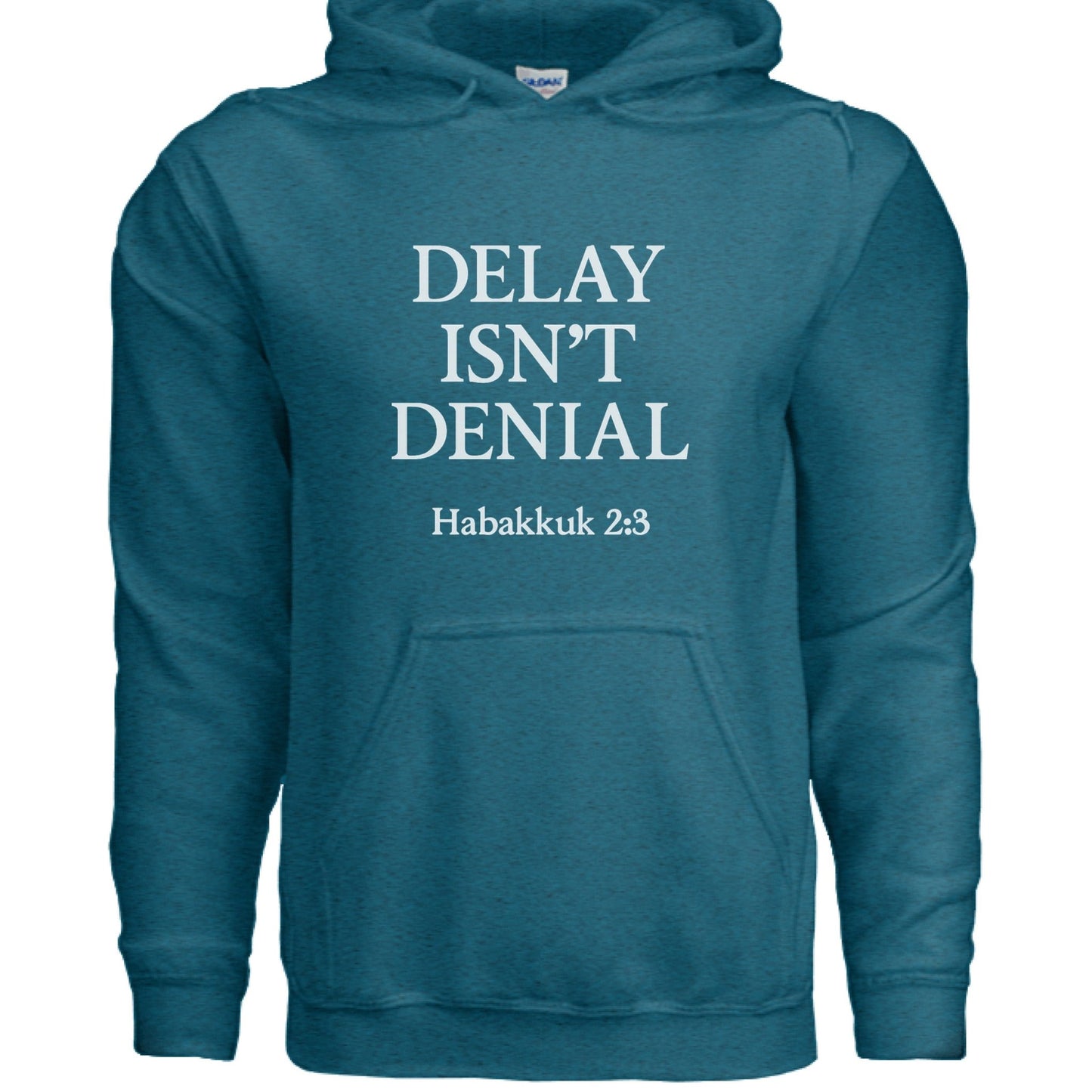 Delay Isn't Denial Unisex Christian Pullover Hooded Sweatshirt - ClaimedbyGodDesigns