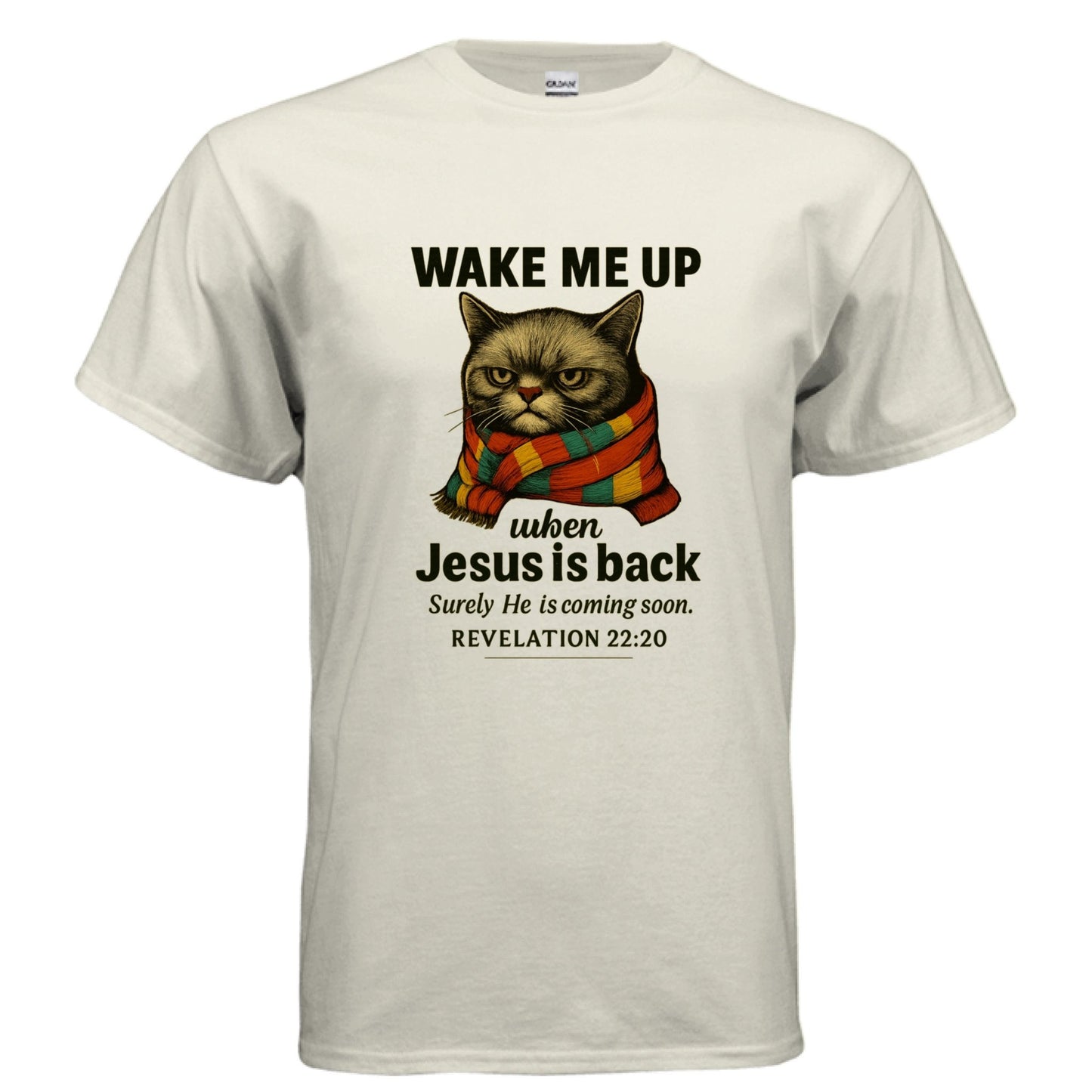 Wake Me Up When He Is Back Funny Unisex Christian T-shirt - ClaimedbyGodDesigns