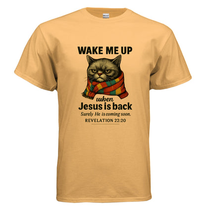 Wake Me Up When He Is Back Funny Unisex Christian T-shirt - ClaimedbyGodDesigns