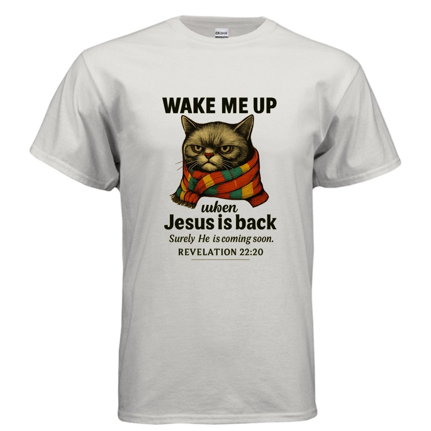 Wake Me Up When He Is Back Funny Unisex Christian T-shirt - ClaimedbyGodDesigns