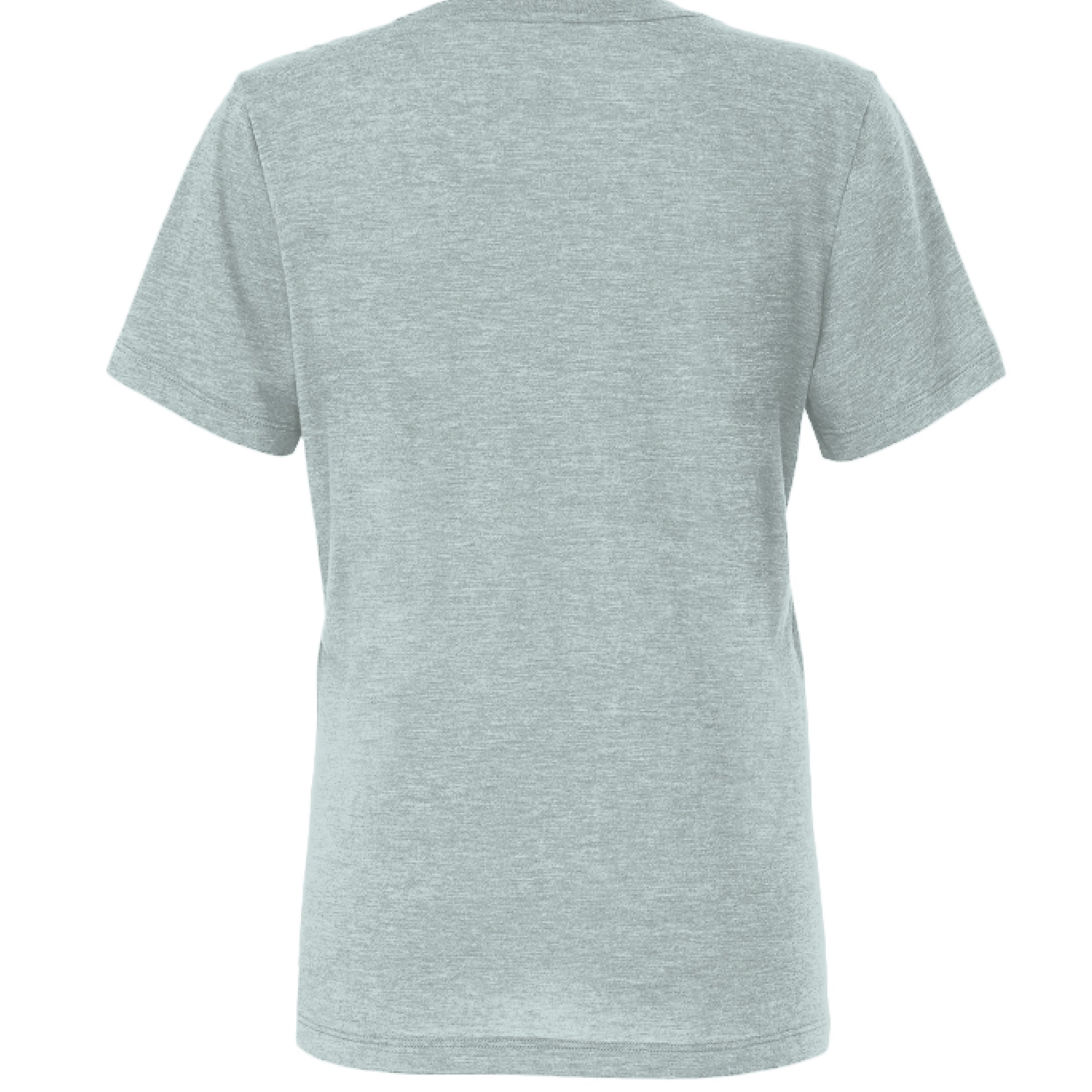 Dusty Blue Triblend - BACK