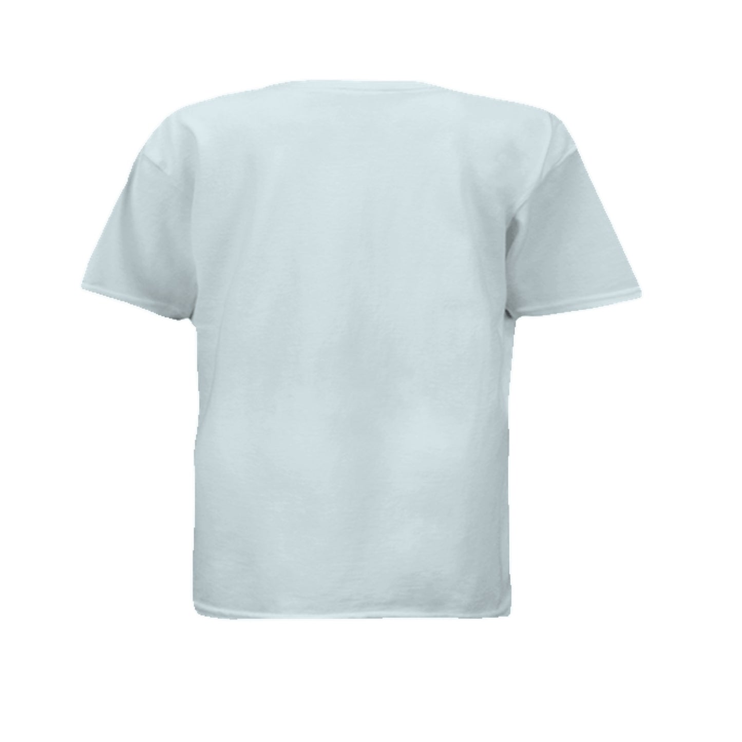 ICE BLUE - 3312 - BACK