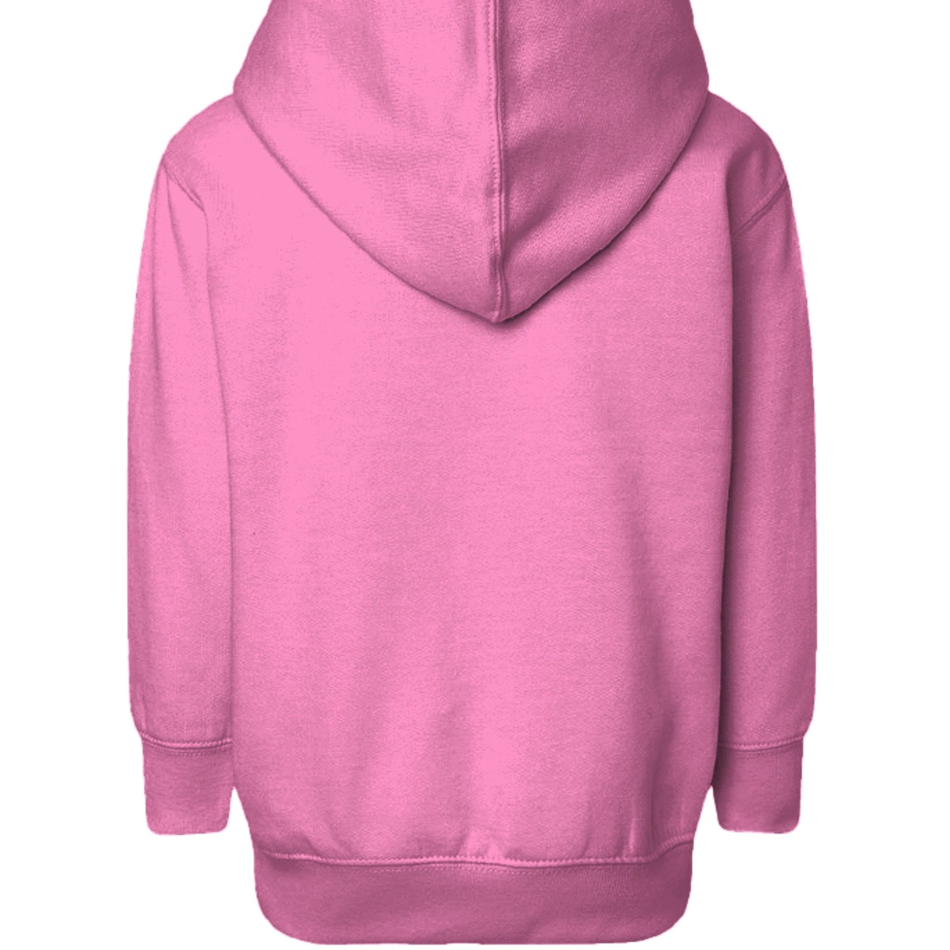 You Were Worth It — Signed, Jesus Toddler Christian Pullover Hooded Sweatshirt - ClaimedbyGodDesigns