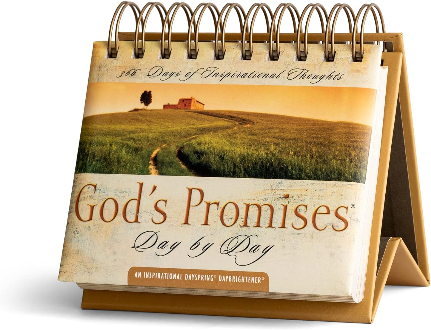Gods Promises Day by Day 365 Days of Inspirational Thoughts  Perpetual Calendar 77872