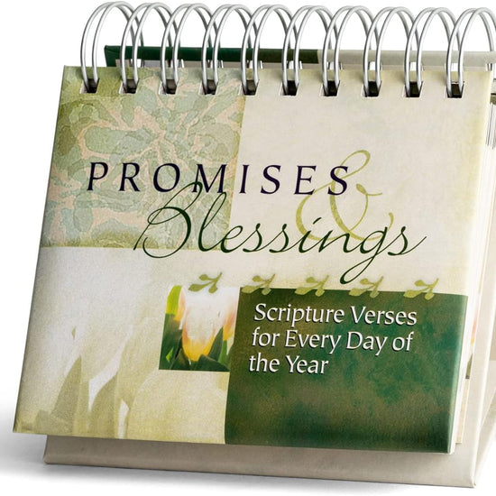Promises  Blessings Scriptures Verses for Every Day of the Year  Perpetual Christian Calendar 15 x 525 x 55 16766